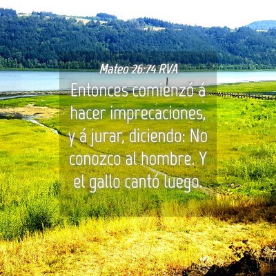 Picture 04 - Mateo 26:74 RVA - Entonces comienzó á hacer imprecaciones, y á - Bible Verse Picture