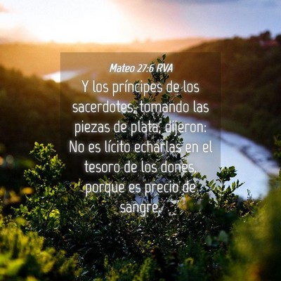 Picture 04 - Mateo 27:6 RVA - Y los príncipes de los sacerdotes, tomando las - Bible Verse Picture