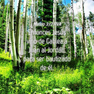Picture 04 - Mateo 3:13 RVA - Entonces Jesús vino de Galilea á Juan al - Bible Verse Picture