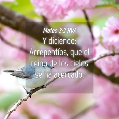 Picture 04 - Mateo 3:2 RVA - Y diciendo: Arrepentíos, que el reino de los - Bible Verse Picture