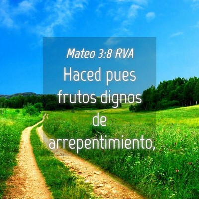 Picture 04 - Mateo 3:8 RVA - Haced pues frutos dignos de - Bible Verse Picture