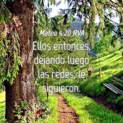 Picture 04 - Mateo 4:20 RVA - Ellos entonces, dejando luego las redes, le - Bible Verse Picture