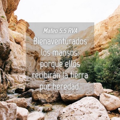 Picture 04 - Mateo 5:5 RVA - Bienaventurados los mansos: porque ellos - Bible Verse Picture