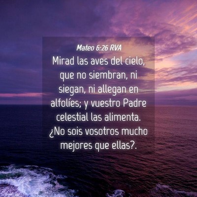 Picture 04 - Mateo 6:26 RVA - Mirad las aves del cielo, que no siembran, ni - Bible Verse Picture