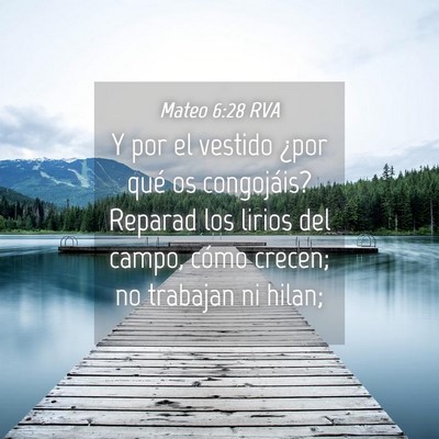 Picture 04 - Mateo 6:28 RVA - Y por el vestido ¿por qué os congojáis? - Bible Verse Picture