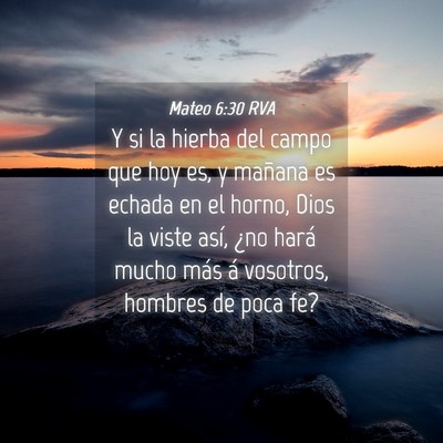Picture 04 - Mateo 6:30 RVA - Y si la hierba del campo que hoy es, y mañana es - Bible Verse Picture