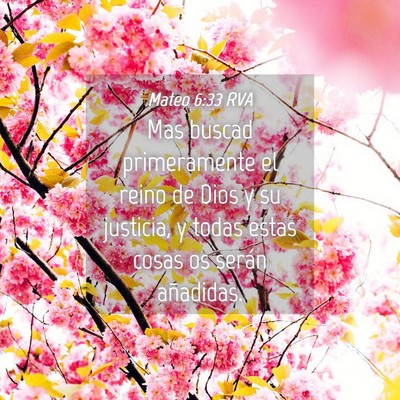 Picture 04 - Mateo 6:33 RVA - Mas buscad primeramente el reino de Dios y su - Bible Verse Picture