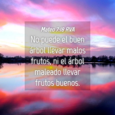 Picture 04 - Mateo 7:18 RVA - No puede el buen árbol llevar malos frutos, ni - Bible Verse Picture