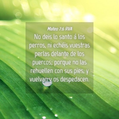 Picture 04 - Mateo 7:6 RVA - No deis lo santo á los perros, ni echéis - Bible Verse Picture