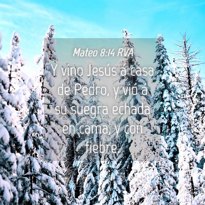 Picture 04 - Mateo 8:14 RVA - Y vino Jesús á casa de Pedro, y vió á su - Bible Verse Picture