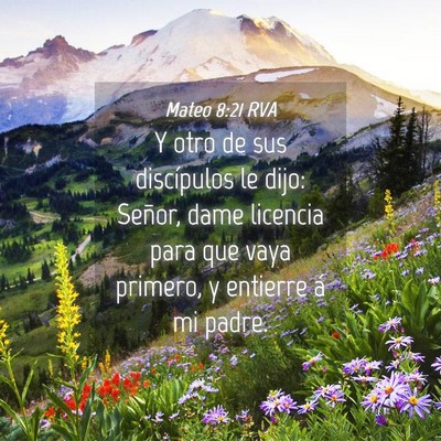 Picture 04 - Mateo 8:21 RVA - Y otro de sus discípulos le dijo: Señor, dame - Bible Verse Picture