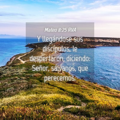 Picture 04 - Mateo 8:25 RVA - Y llegándose sus discípulos, le despertaron, - Bible Verse Picture