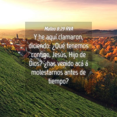 Picture 04 - Mateo 8:29 RVA - Y he aquí clamaron, diciendo: ¿Qué tenemos - Bible Verse Picture