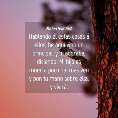 Picture 04 - Mateo 9:18 RVA - Hablando él estas cosas á ellos, he aquí vino - Bible Verse Picture