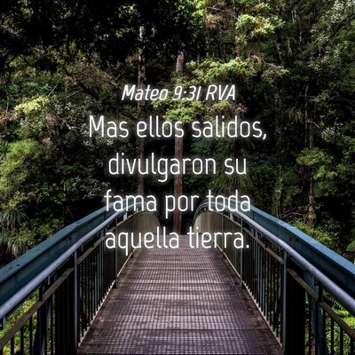 Picture 04 - Mateo 9:31 RVA - Mas ellos salidos, divulgaron su fama por toda - Bible Verse Picture