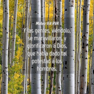 Picture 04 - Mateo 9:8 RVA - Y las gentes, viéndolo, se maravillaron, y - Bible Verse Picture
