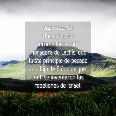 Picture 04 - Miqueas 1:13 RVA - Unce al carro dromedarios, oh moradora de - Bible Verse Picture