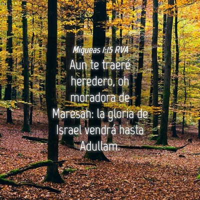 Picture 04 - Miqueas 1:15 RVA - Aun te traeré heredero, oh moradora de Maresah: - Bible Verse Picture