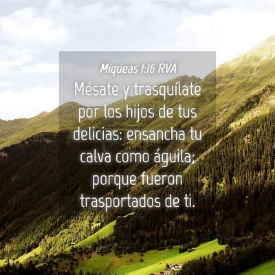 Picture 04 - Miqueas 1:16 RVA - Mésate y trasquílate por los hijos de tus - Bible Verse Picture