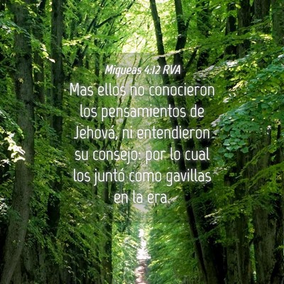 Picture 04 - Miqueas 4:12 RVA - Mas ellos no conocieron los pensamientos de - Bible Verse Picture