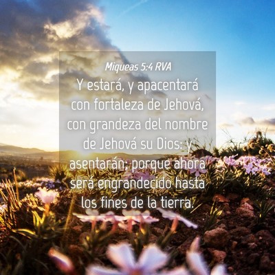 Picture 04 - Miqueas 5:4 RVA - Y estará, y apacentará con fortaleza de - Bible Verse Picture