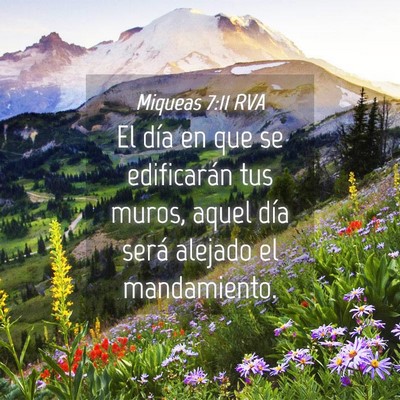 Picture 04 - Miqueas 7:11 RVA - El día en que se edificarán tus muros, aquel - Bible Verse Picture