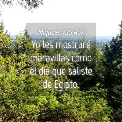 Picture 04 - Miqueas 7:15 RVA - Yo les mostraré maravillas como el día que - Bible Verse Picture