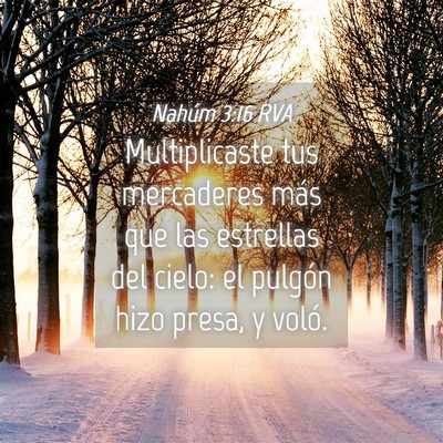 Picture 04 - Nahúm 3:16 RVA - Multiplicaste tus mercaderes más que las - Bible Verse Picture