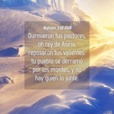 Picture 04 - Nahúm 3:18 RVA - Durmieron tus pastores, oh rey de Asiria, - Bible Verse Picture