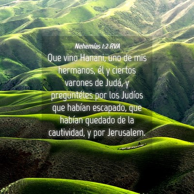 Picture 04 - Nehemías 1:2 RVA - Que vino Hanani, uno de mis hermanos, él y - Bible Verse Picture