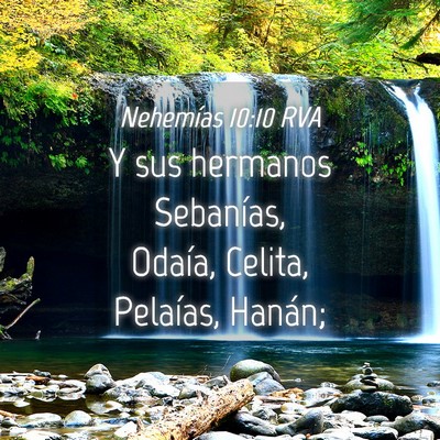 Picture 04 - Nehemías 10:10 RVA - Y sus hermanos Sebanías, Odaía, Celita, - Bible Verse Picture