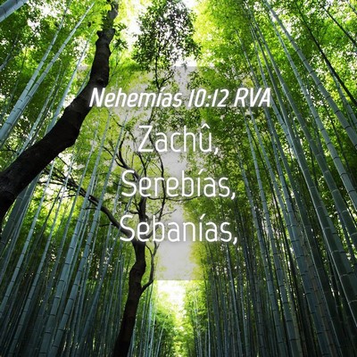 Picture 04 - Nehemías 10:12 RVA - Zachû, Serebías, - Bible Verse Picture