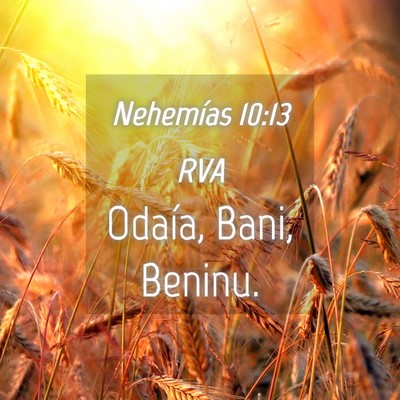Picture 04 - Nehemías 10:13 RVA - Odaía, Bani, - Bible Verse Picture