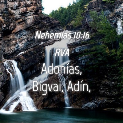 Picture 04 - Nehemías 10:16 RVA - Adonías, Bigvai, - Bible Verse Picture