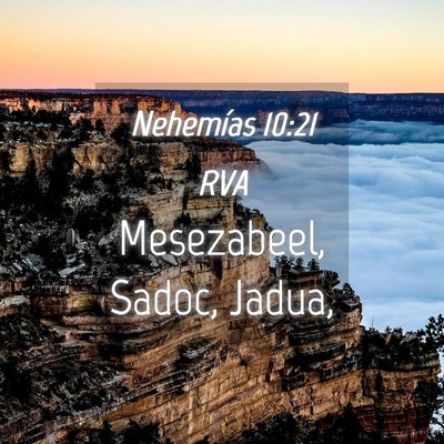 Picture 04 - Nehemías 10:21 RVA - Mesezabeel, Sadoc, - Bible Verse Picture