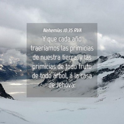 Picture 04 - Nehemías 10:35 RVA - Y que cada año traeríamos las primicias de - Bible Verse Picture