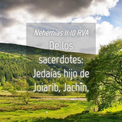 Picture 04 - Nehemías 11:10 RVA - De los sacerdotes: Jedaías hijo de Joiarib, - Bible Verse Picture