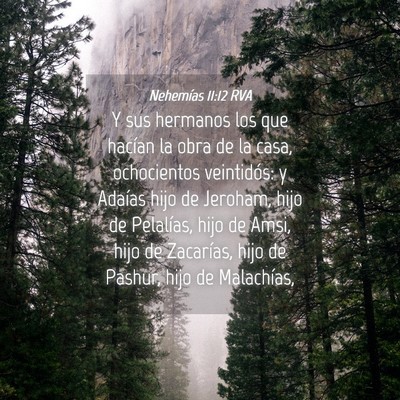 Picture 04 - Nehemías 11:12 RVA - Y sus hermanos los que hacían la obra de la - Bible Verse Picture