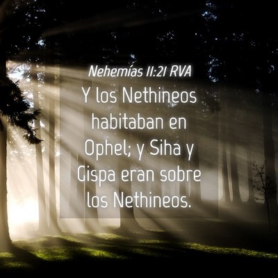 Picture 04 - Nehemías 11:21 RVA - Y los Nethineos habitaban en Ophel; y Siha y - Bible Verse Picture