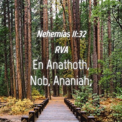 Picture 04 - Nehemías 11:32 RVA - En Anathoth, Nob, - Bible Verse Picture