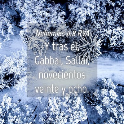 Picture 04 - Nehemías 11:8 RVA - Y tras él, Gabbai, Sallai, novecientos veinte y - Bible Verse Picture