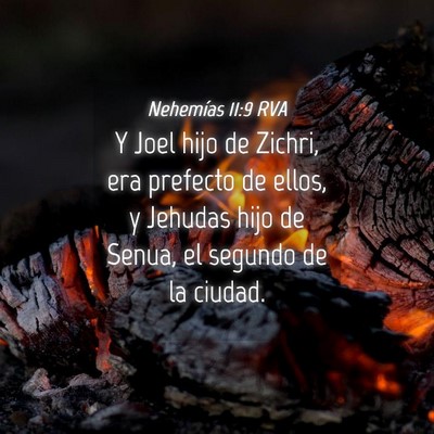 Picture 04 - Nehemías 11:9 RVA - Y Joel hijo de Zichri, era prefecto de ellos, y - Bible Verse Picture