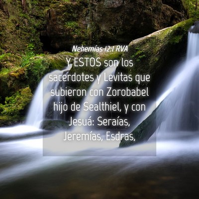 Picture 04 - Nehemías 12:1 RVA - Y ESTOS son los sacerdotes y Levitas que subieron - Bible Verse Picture