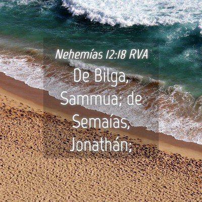Picture 04 - Nehemías 12:18 RVA - De Bilga, Sammua; de Semaías, - Bible Verse Picture