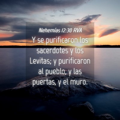 Picture 04 - Nehemías 12:30 RVA - Y se purificaron los sacerdotes y los Levitas; y - Bible Verse Picture