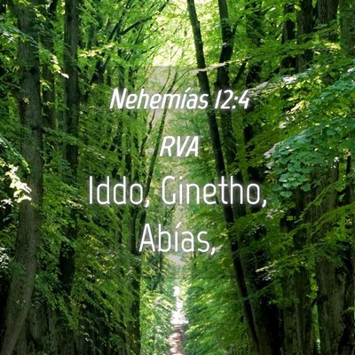 Picture 04 - Nehemías 12:4 RVA - Iddo, Ginetho, - Bible Verse Picture