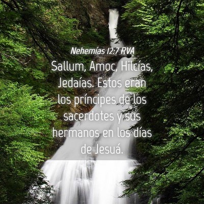 Picture 04 - Nehemías 12:7 RVA - Sallum, Amoc, Hilcías, Jedaías. Estos eran los - Bible Verse Picture