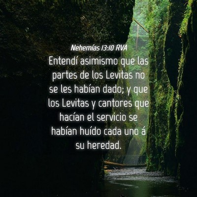 Picture 04 - Nehemías 13:10 RVA - Entendí asimismo que las partes de los Levitas - Bible Verse Picture