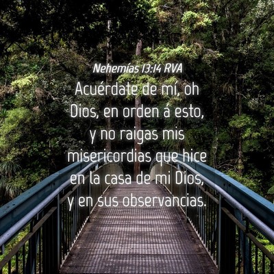 Picture 04 - Nehemías 13:14 RVA - Acuérdate de mí, oh Dios, en orden á esto, y - Bible Verse Picture