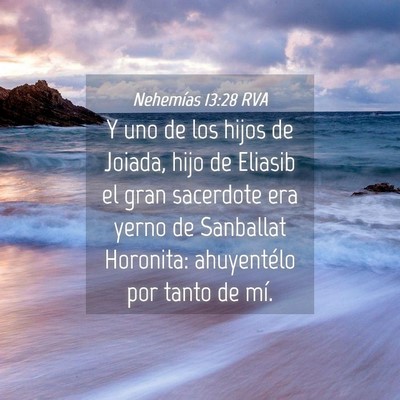 Picture 04 - Nehemías 13:28 RVA - Y uno de los hijos de Joiada, hijo de Eliasib el - Bible Verse Picture